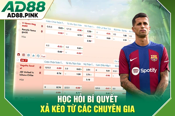 Xả Kèo Chiến Thuật Bảo Toàn Vốn Và Chốt Lời Đỉnh Cao Học hỏi bí quyết xả kèo từ các chuyên gia
